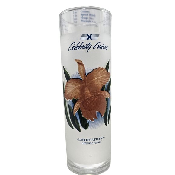 Celebrity Cruises Frosted Tropical Orchid Highball Collins Glasses Set Of 7 - Picture 6 of 11